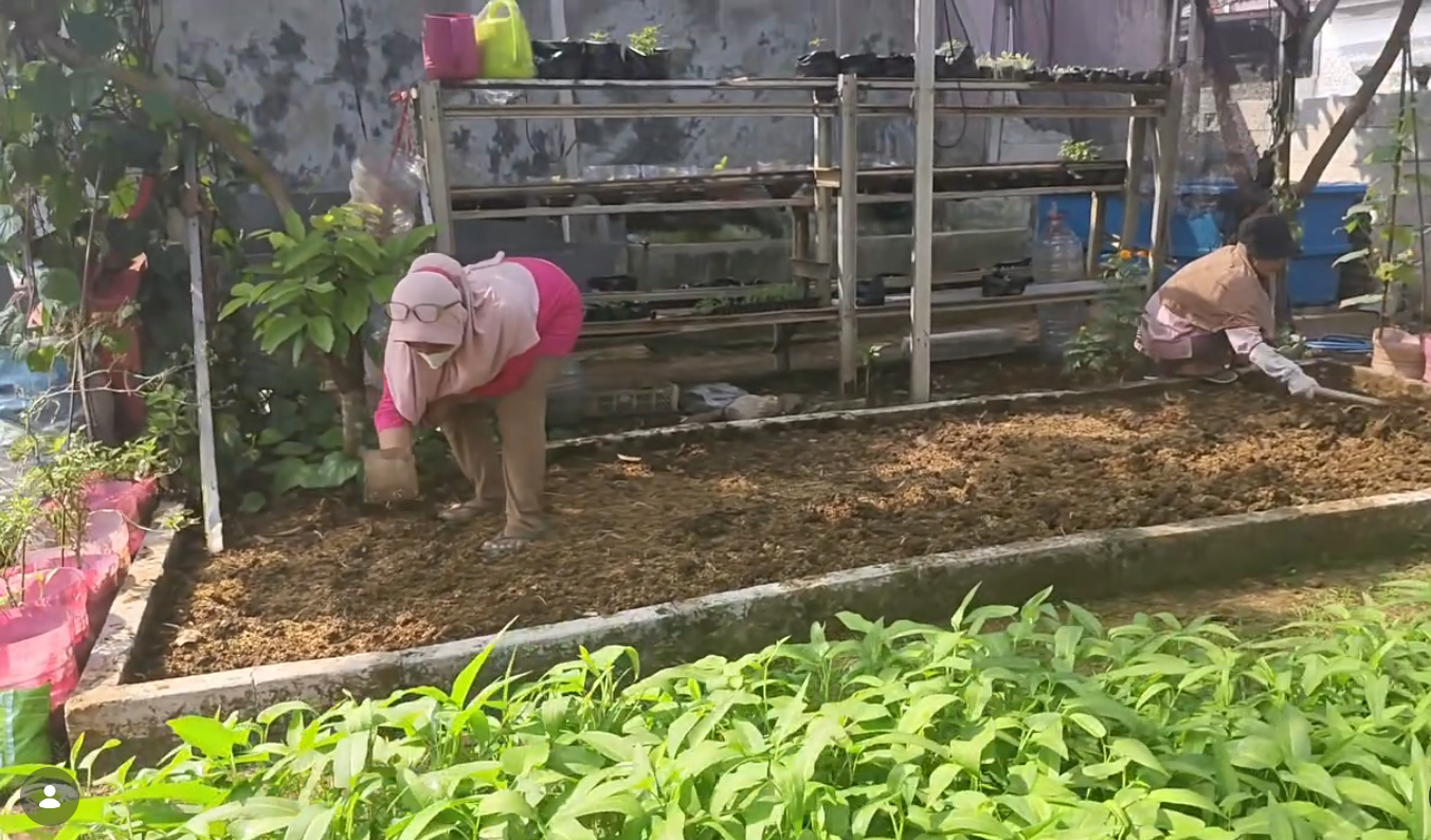 Menyiapkan Lahan untuk Penyemaian Tanaman